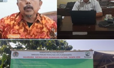 Klarifikasi Tuntas! Yayat Menyangkal Data di Blok Cijengkol, Namun Elyasa Berikan Argumentasi Tajam kepada Cellica