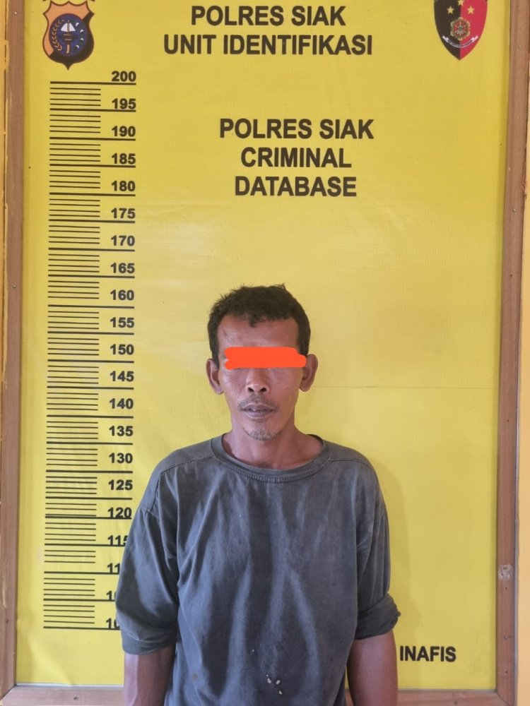 POLSEK SUNGAI MANDAU POLRES SIAK UNGKAP PELAKU PEMBAKARAN HUTAN DAN LAHAN