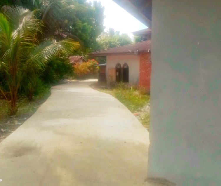 Proyek Anggaran Dana Desa,di Duga di Sulap Jadi Proyek Siluman di Desa Padang Mutung