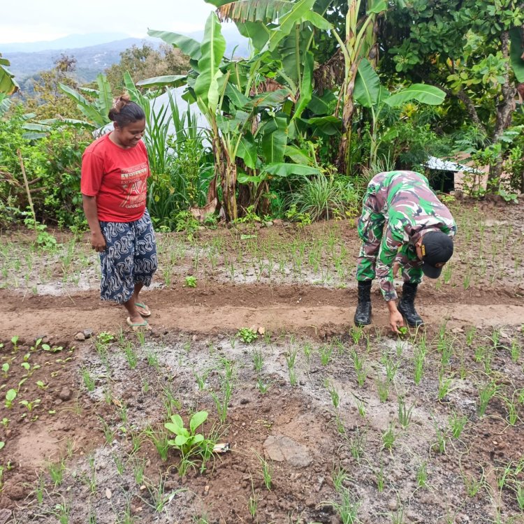 Satgas Yonkav 6/Naga Karimata Dukung Konservasi Lingkungan dan Bantu Petani Lokal