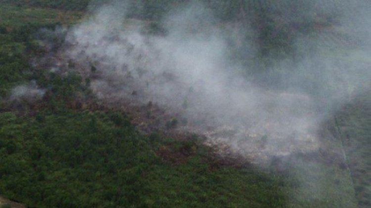 Karhutla di Rokan Hilir Riau: BPBD Berjibaku Padamkan Api dengan Bantuan Water Bombing