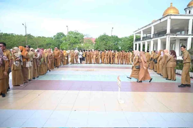 2.840 Tenaga Honorer Pemkab Rohil Dirumahkan, Imbas Aturan Pemerintah Pusat