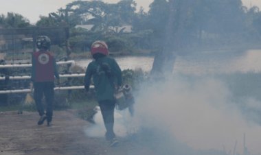 Kasus DBD di Inhil Capai 179 hingga Mei 2025, Enam Orang Meninggal Dunia