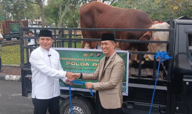 Polda Riau Berkurban 151 Ekor Sapi dan 48 Ekor Kambing Pada Idul Adha 1446 H, Hewan Kurban Dibagikan Untuk Personil, Hingga Masyarakat