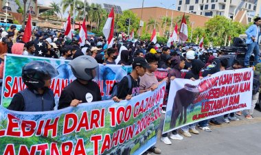 Gelar Demo, Aliansi Masyarakat Penyelamat Habitat Gajah Provinsi Riau Dukung Penertiban TNTN