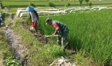 Babinsa Bantu Petani Basmi Gulma di Boyolali