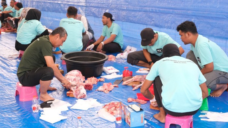 Pertamina Patra Niaga Salurkan 127 Hewan Kurban saat Idul Adha 1446 Hijriah