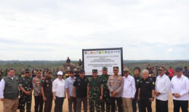 3.000 Hektare Sawit Ilegal di TNTN Dikembalikan, Satgas Lanjutkan Reforestasi