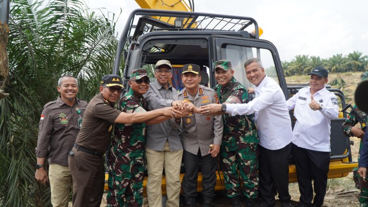 Warga Serahkan Lahan di TNTN Secara Sukarela, Puluhan Ribu Pohon Sawit Ditumbangkan