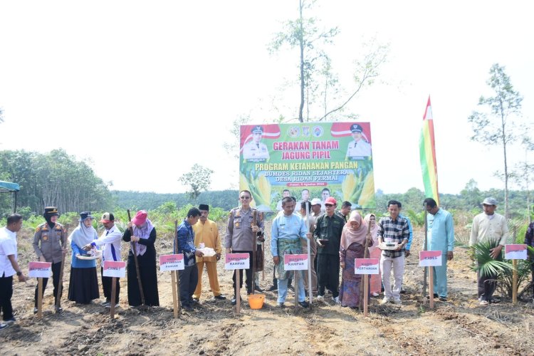 Pemkab Kampar Komitmen Wujudkan Ketahanan Pangan Nasional, Bupati Tanam Jagung Pipil