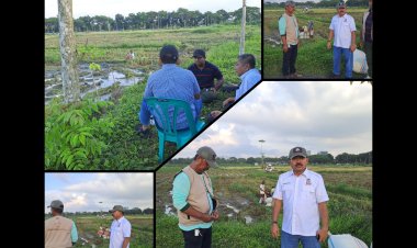 Tani Merdeka Deli Serdang Sulap Lahan Kosong Jadi Lumbung Pangan