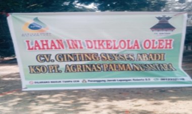 Panen Sawit Secara Paksa, Warga Desa Kota Lama Laporkan Sekelompok Masyarakat ke Polisi Untuk Hindari Bentrok