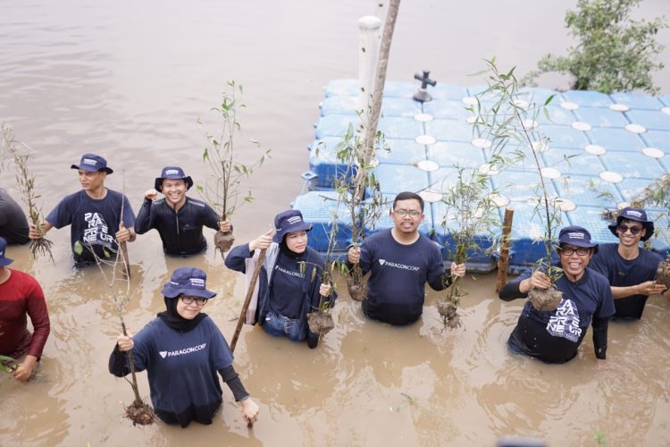 DT Peduli Riau dan Paragoncorp Tanam Mangrove di Okura, Wujud Nyata Peduli Lingkungan