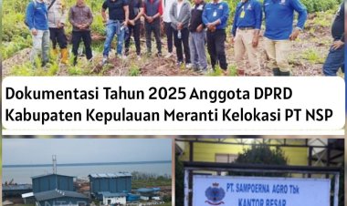 Catatan Lingkungan PT NSP: Karhutla, Ganti Rugi, dan Transparansi Data