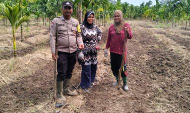 Polsek Merbau Cek Lahan Jagung Desa Bandul Dukung Swasembada Pangan